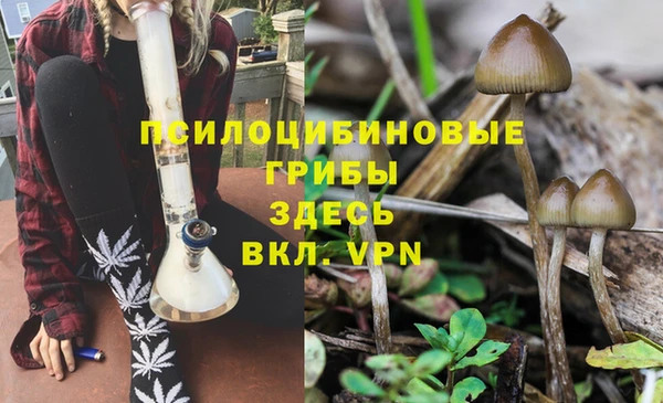 прущая мука Ростов